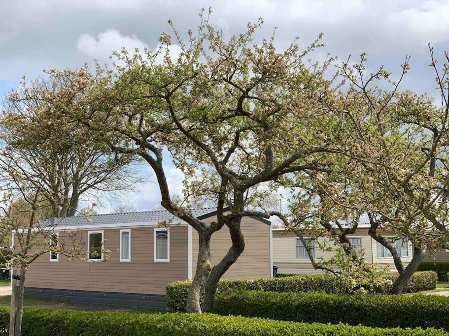 Gezellig Chalet In Het Mooie Zeeland - אוסטקאפלה מראה חיצוני תמונה